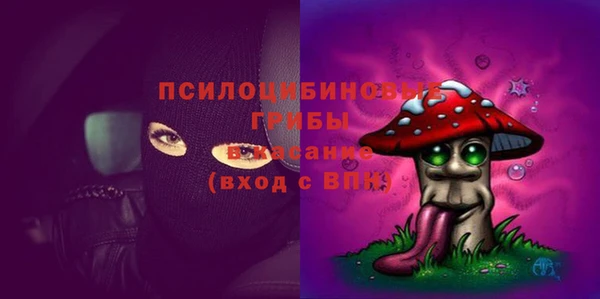 не бодяженный Алзамай