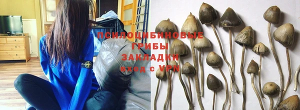 дурь Алексеевка
