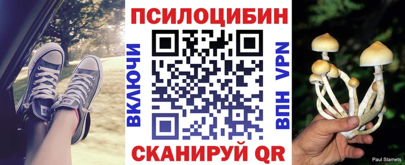 Галлюциногенные грибы Psilocybine cubensis  купить наркотик  Талдом 